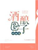 酒酿圆子的圆子是什么