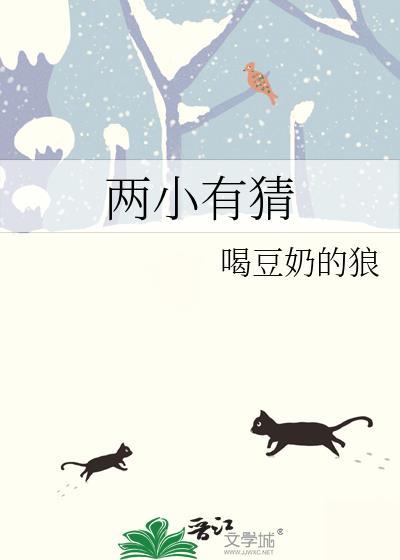 两小有猜五十四h