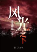 风光之下的内容简介