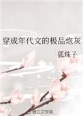 穿成年代文里的极品炮灰txt