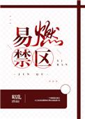 易燃禁区txt资源