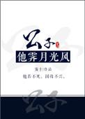 公子他霁月光风百度
