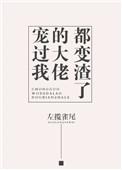宠惯大佬后续剧情