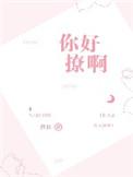 你好撩啊完结