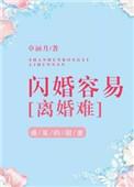 闪婚容易离婚难全难卓涵月