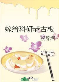 嫁给科研老古板全文123章TXT