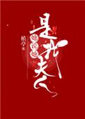 我是他夫人全文阅读