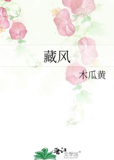 藏风什么意思