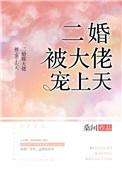 二婚被大佬宠上天作者桑间
