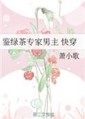 鉴绿茶专家男主晋江