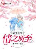 陆先生的情之所至全文