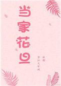 央视当家花旦