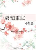 妻宠by寒石也白头免费阅读