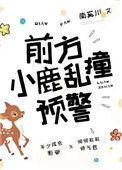 小鹿乱撞意思