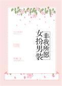 女扮男装no