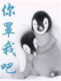你罩我吧全文介绍