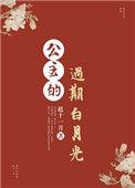 公主的月亮