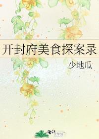 开封府美食探案录 百度