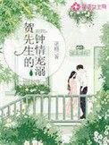 贺 先生的电视剧演员表介绍