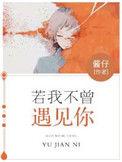 若不曾遇见你是什么意思