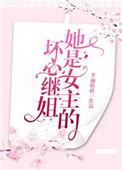 她是坏女人po