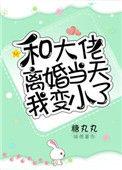 和大佬离婚后我变小了糖丸丸