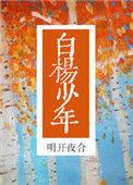 白杨少年明开夜合txt