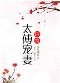 太傅宠妻日常原著免费阅读