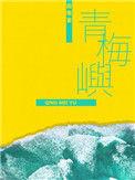 青梅屿by回南雀未删减无弹窗 番外笔趣阁完整版