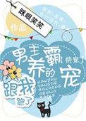 养宠男主顶流合集