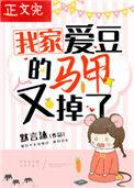 我家爱豆又做兼职