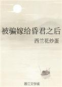 被骗嫁到北地后