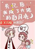 失忆后她成了大佬的白月光