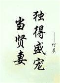 当贤妻独得盛宠完结