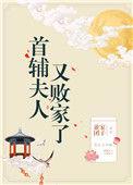 首辅夫人又败家格格党