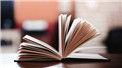 芳心大乱的主要人物