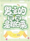 穿越之男主的灵宠凤凰