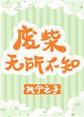 废柴无所不知盘