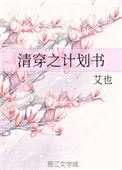 清穿记