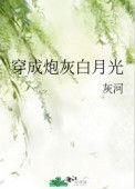 穿成炮灰白月光后简介