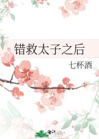 错付太子
