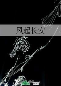 白长风 风起长安