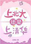 上北大还是上清华完整版