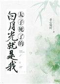 太子的白月光嫁人了