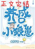 养了一只小狼崽格格党