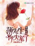 婚内有诡薄先生你失宠了陆想想