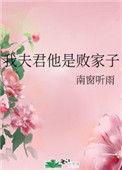 我家夫君是废太子免费阅读