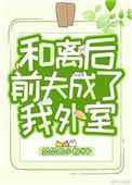 和离后前夫成了我外室怂怂的小包百