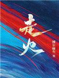 走火电视剧免费观看高清版