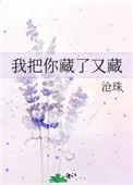 我把你藏进我心窝是什么歌